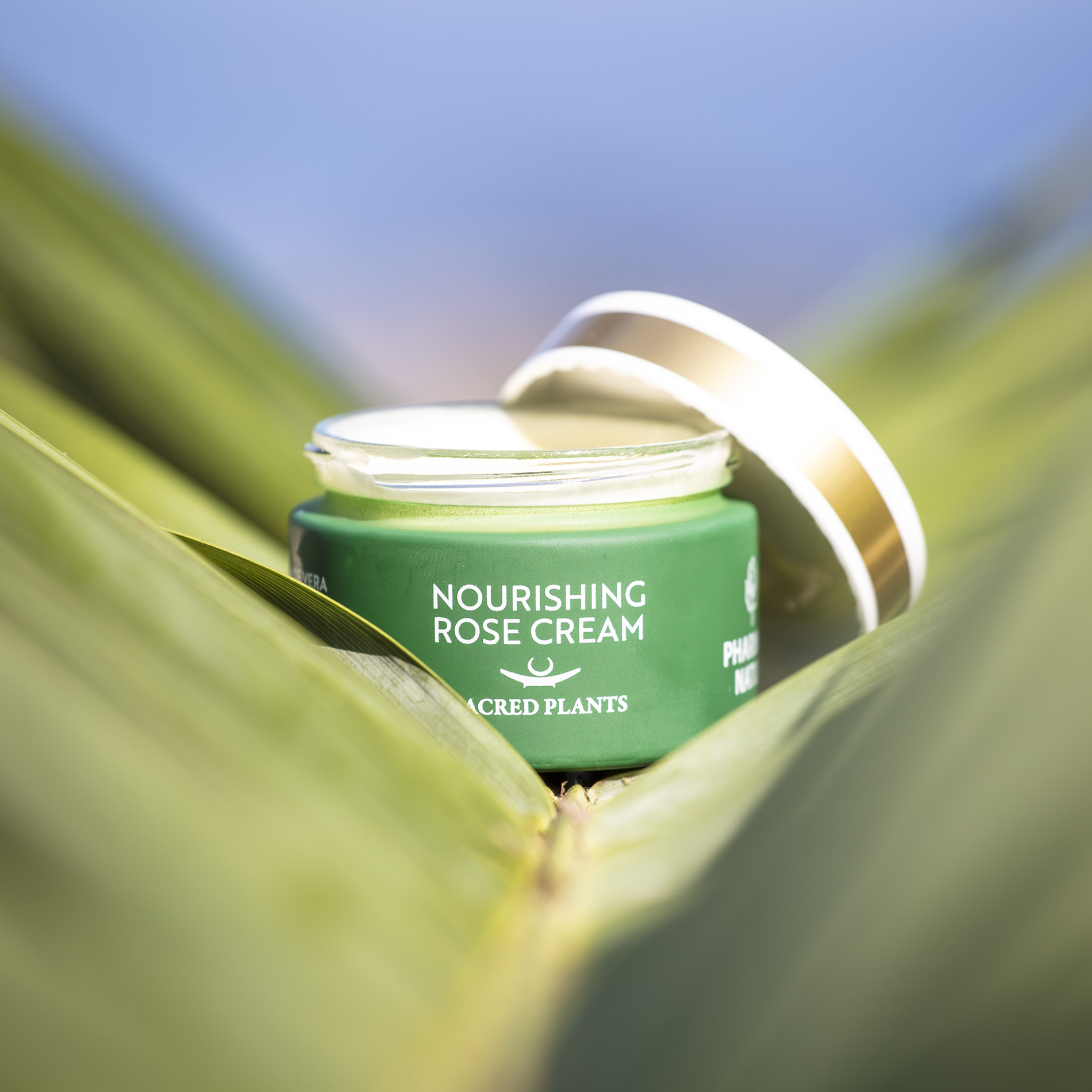 Nourishing Rose Cream, 50 ml